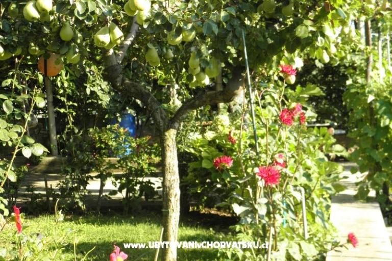 Apartmány Lucija – foto 16