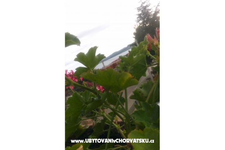 Apartmány Ira – foto 11