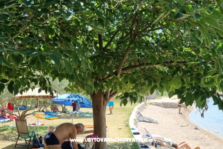 Apartmány Ivan – foto 9