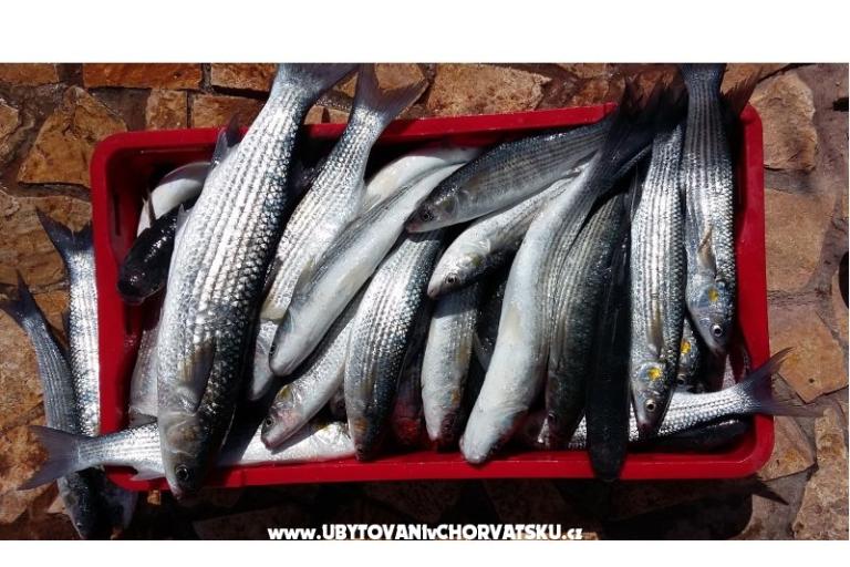 Colić Apartmány  – foto 10