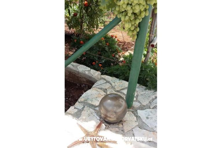 Colić Apartmány  – foto 11