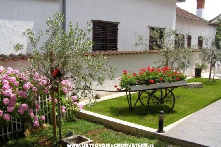 Apartmány Roviš – foto 7