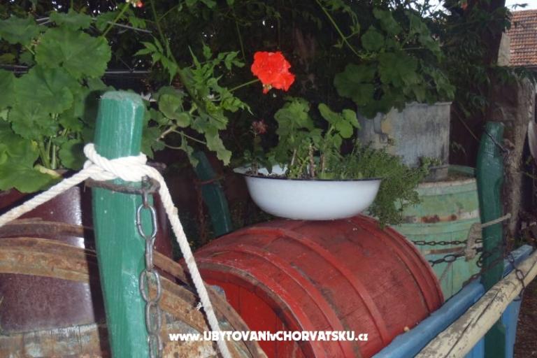 Apartmány Mara – foto 17