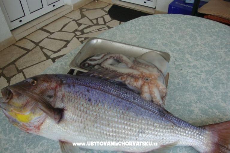 Apartmán Jakov – foto 3