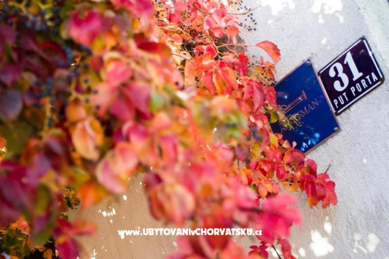 Apartmán Jelena – foto 2