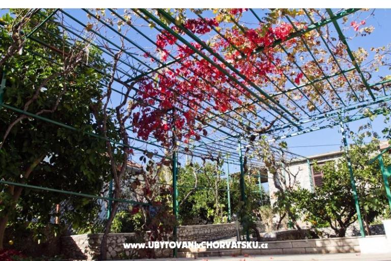 Apartmán Jelena – foto 4