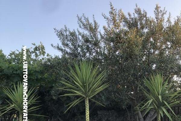 Apartmán Marijo – foto 9