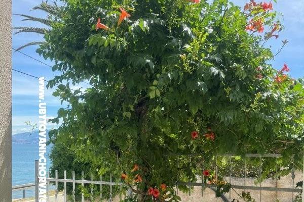 Apartmány Adria – foto 20