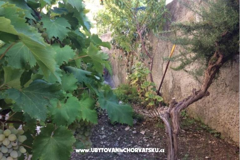 Apartmány Adria – foto 5