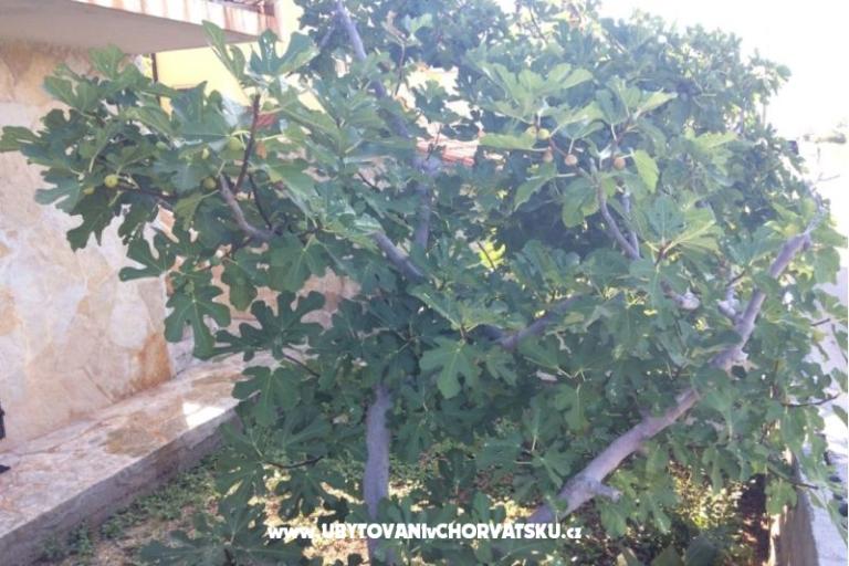 Apartmány Adria – foto 6