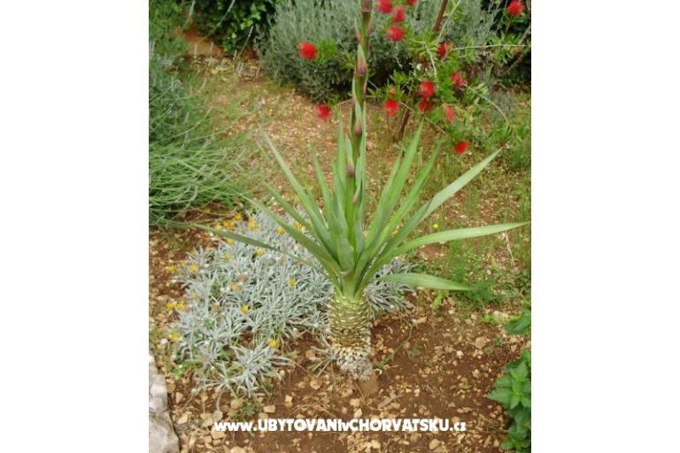 Apartmány Anita – foto 6