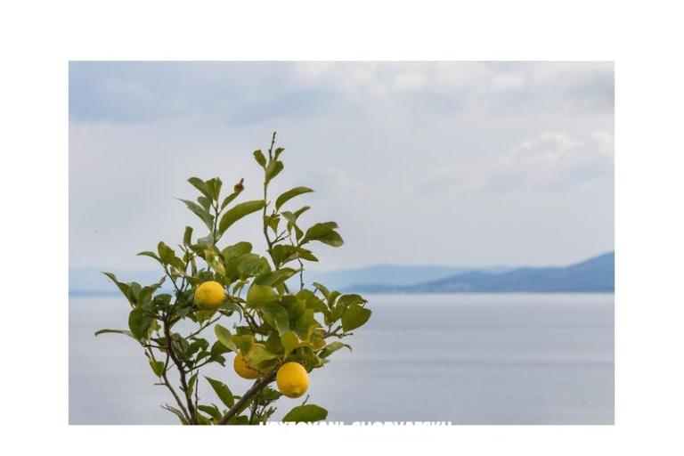 Apartmány Babaja – foto 8