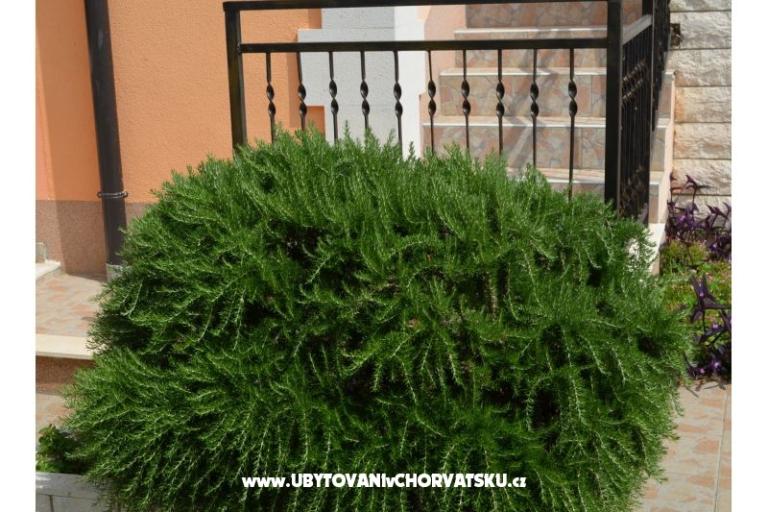 Apartmány Brksi  – foto 14