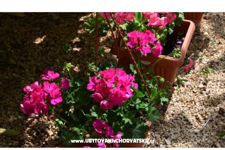 Apartmány Brksi  – foto 15