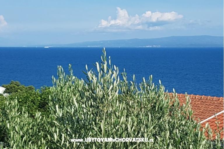 Apartmány Ivan Okrug Gornji – foto 21