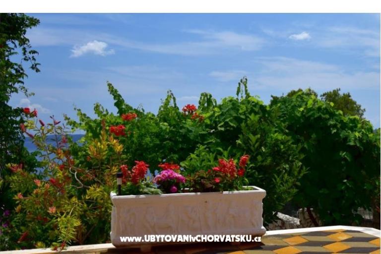 Apartmány Ivan Okrug Gornji – foto 6