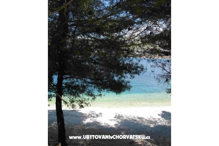 Apartmány Jelena – foto 17