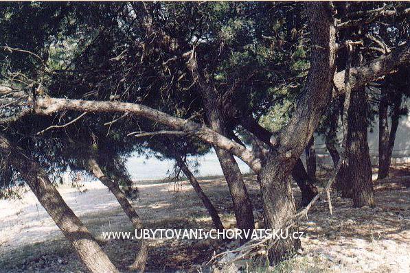 Apartmány Darko – foto 7