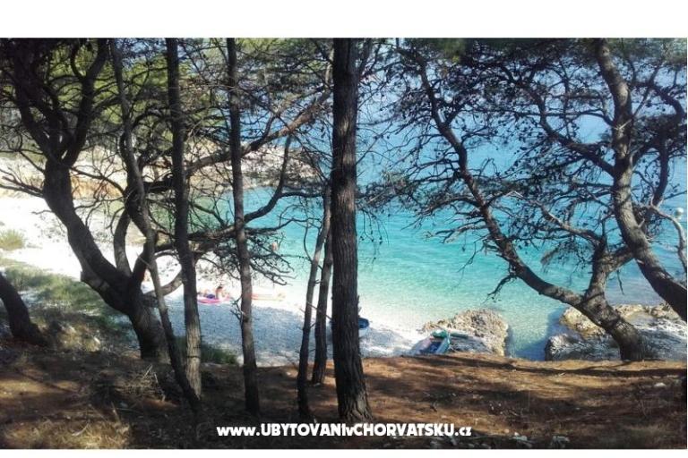 Apartmány Leut – foto 16