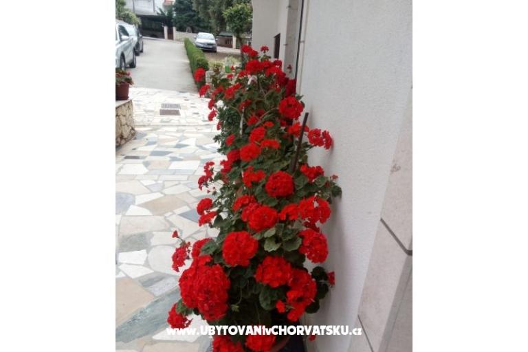 Apartmány Malic – foto 10