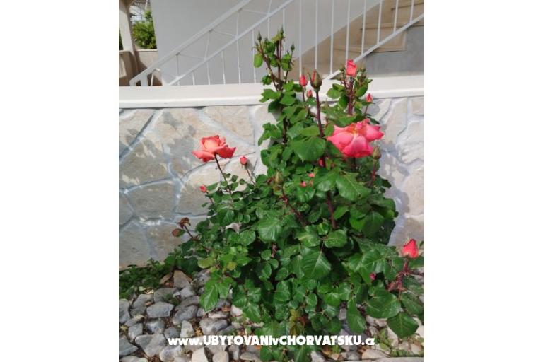 Apartmány Marin – foto 8