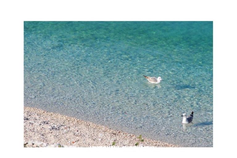 Apartmány Neva – foto 7