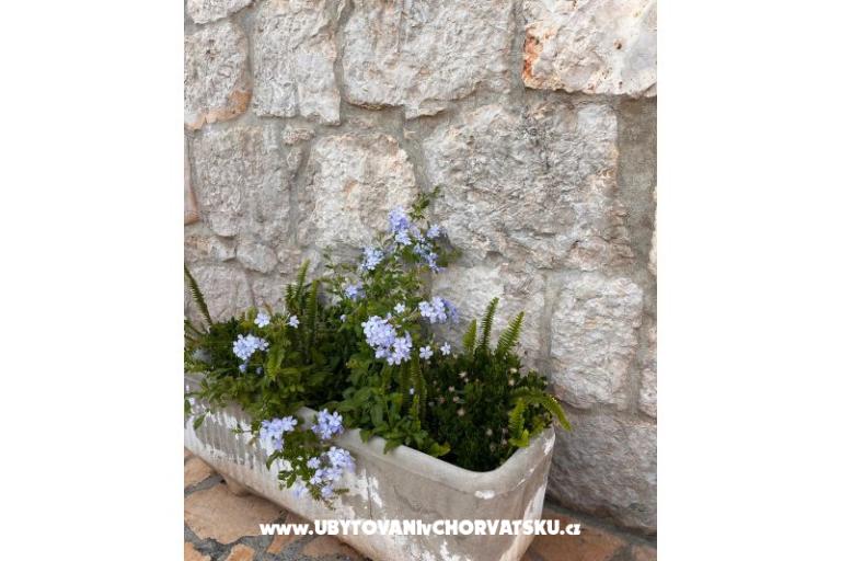 Apartmány Tri palme – foto 18