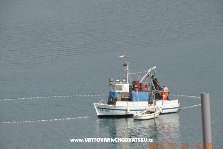 Apartmány villa Tanja – foto 15