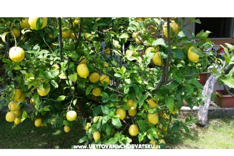 Apartmány Bijelić – foto 9