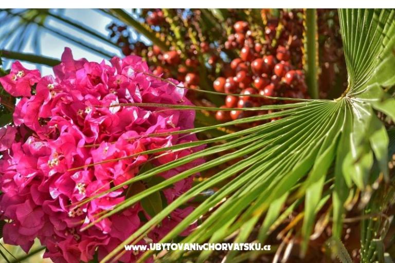 Apartmány Dominika – foto 23