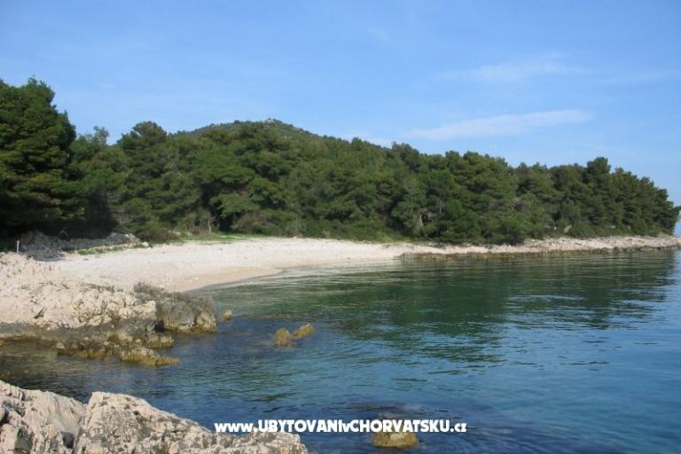 Apartmány Dominika – foto 6