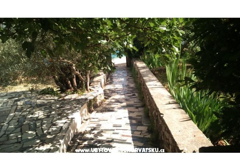 Apartmány Jauca – foto 9