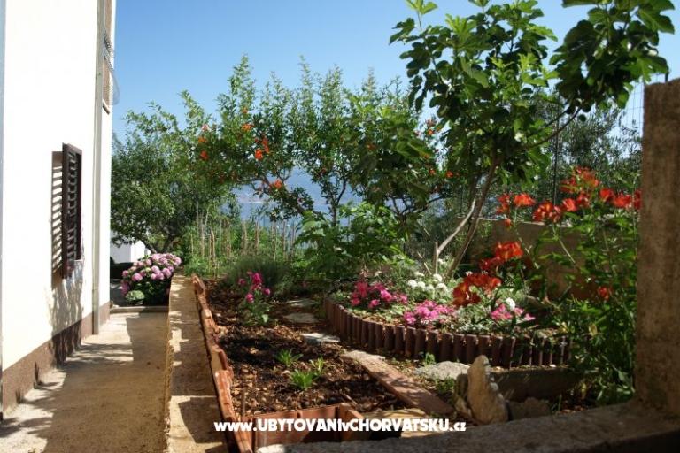 Apartmány Ljilja – foto 13