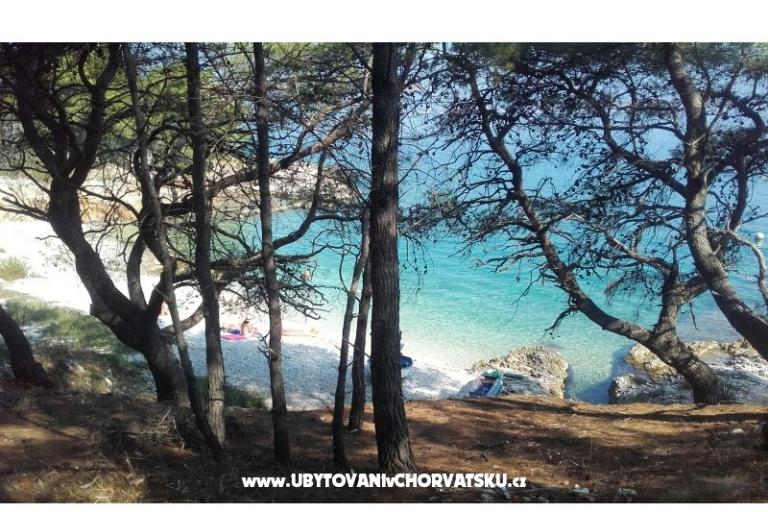 Apartmány Ljilja – foto 8