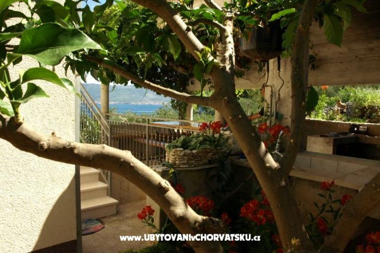 Apartmány Ljilja – foto 9