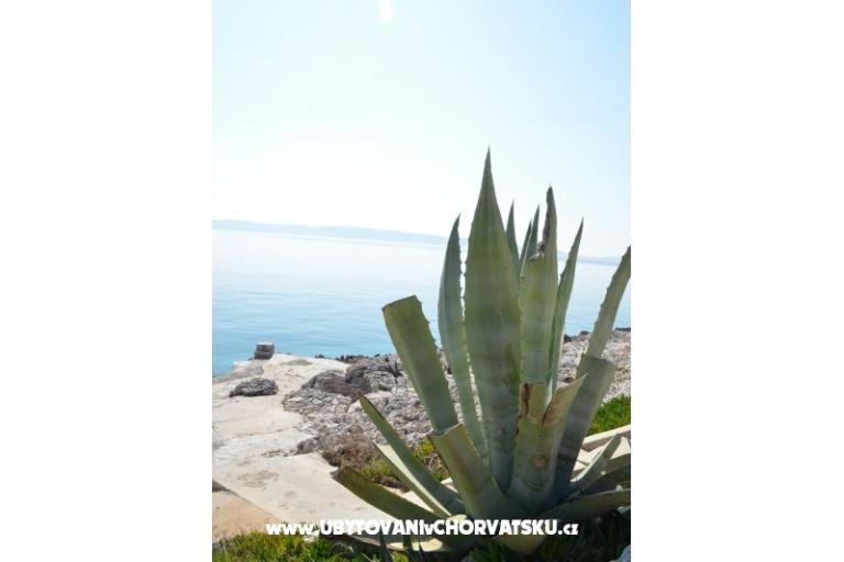 Apartmány Petar Milat – foto 9