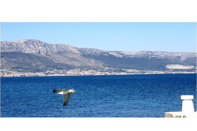 Apartmány Tanja – foto 6