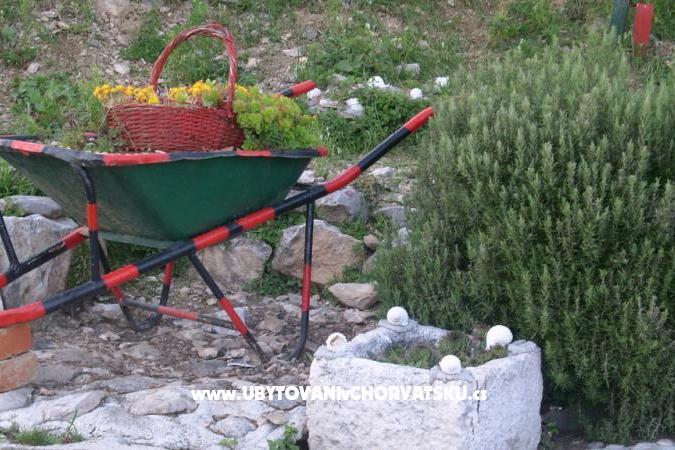 Carmen Apartmány – foto 15