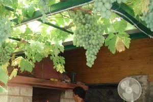 Apartmány Matijaca – foto 4