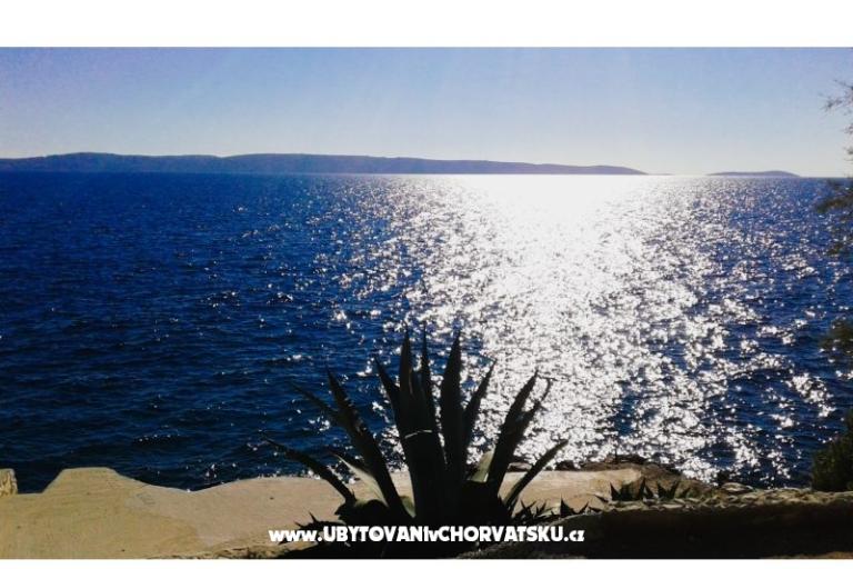 Goga Apartmány – foto 15