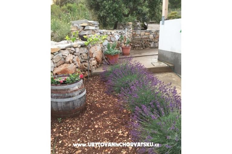 Dům Rustika – foto 12