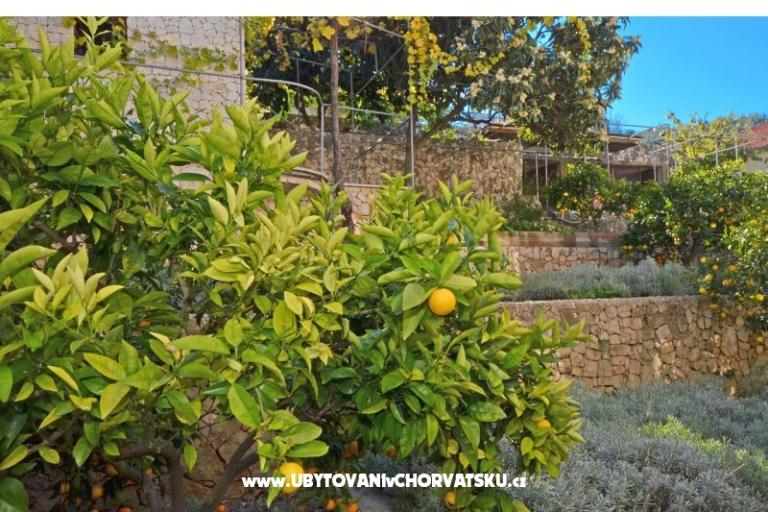 Lola Apartmány – foto 19