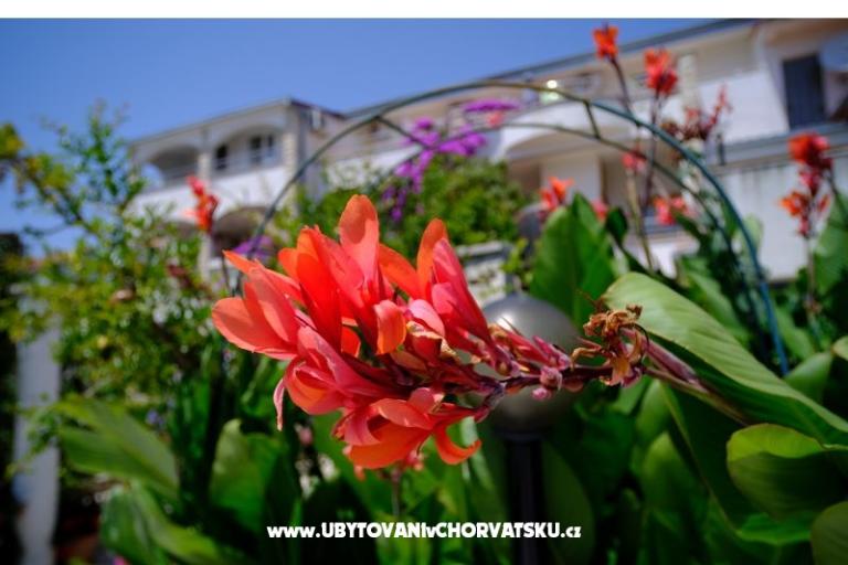 Penzion Jeric – foto 14