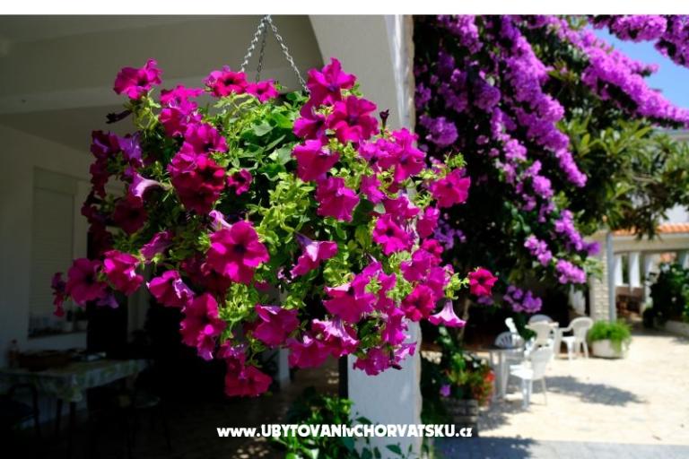 Penzion Jeric – foto 3