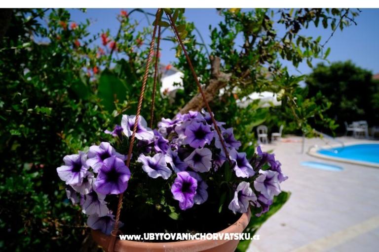 Penzion Jeric – foto 5