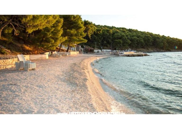 Residence Biočić – foto 16