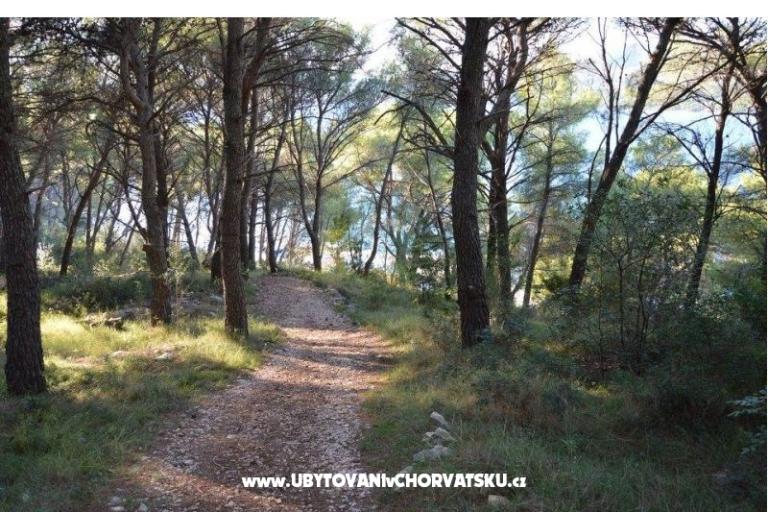 Residence Biočić – foto 9