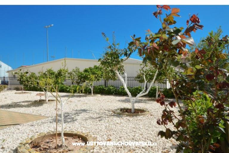 Simba Apartmány – foto 3
