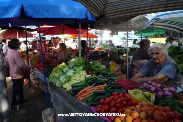 Stella Apart – foto 6