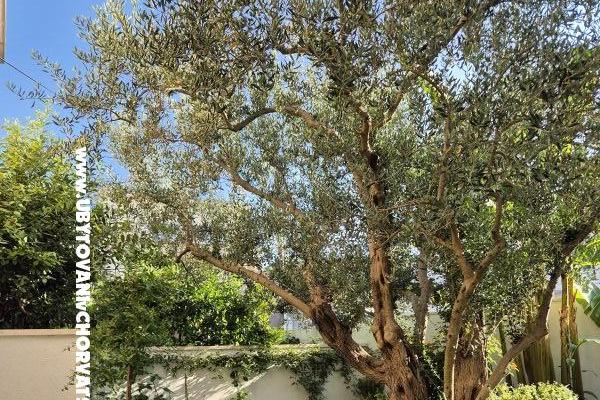 The Three Flowers Pool Dům – foto 60